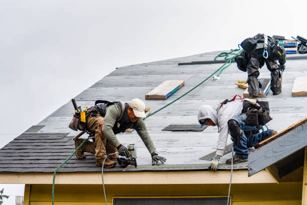 Professional Storm Damage Roof Repair technician working in Acton, MT